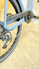 Gazelle CHAMONIX T10