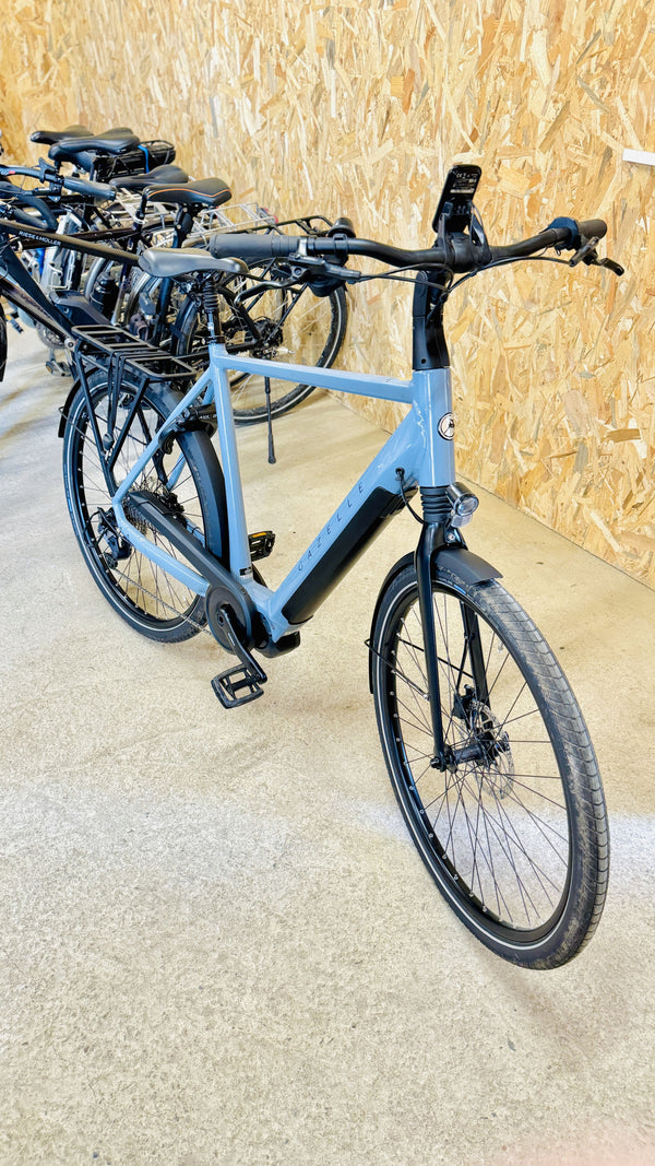 Gazelle CHAMONIX T10