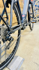 Gazelle CITY ZEN SPEED