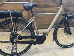 Stella LIVORNO BOSCH