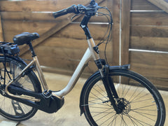 Stella LIVORNO BOSCH