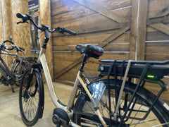 Stella LIVORNO BOSCH