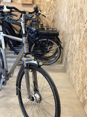 Gazelle ALLURE LIMITED